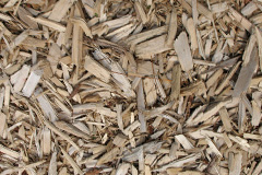 biomass boilers Durgan
