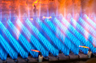 Durgan gas fired boilers